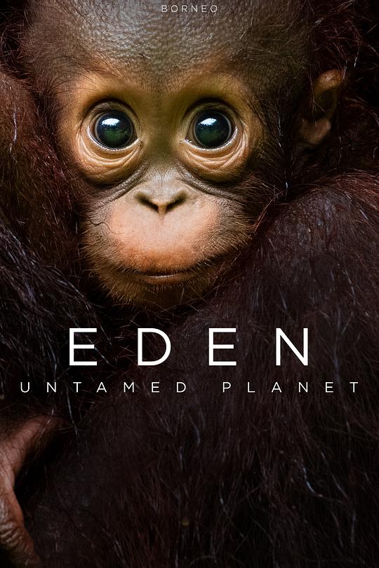 伊甸园：最后的秘境 Eden: Untamed Planet