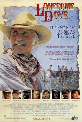 孤鸽镇 Lonesome Dove